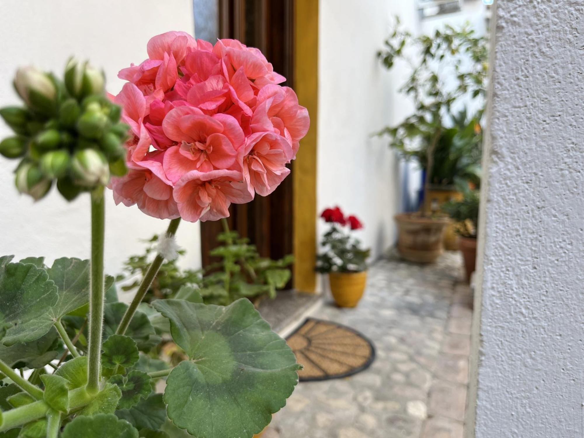 Casa Lia - Independent Apartment In The Gulf Of Orosei Galtellì Exterior foto